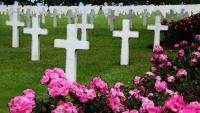 American Cemetary�